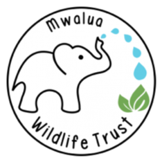 Mwaula Wildife Trust