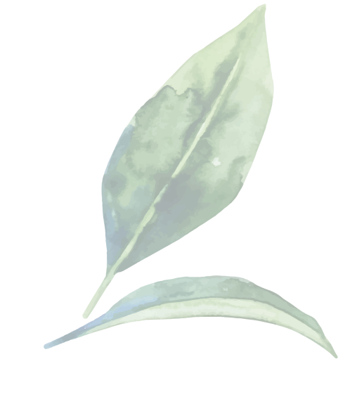 truOrigins background pattern